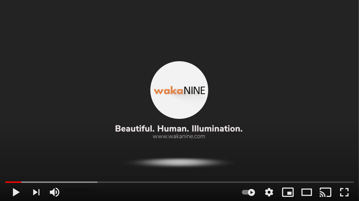 You are currently viewing An Introduction to wakaNINE